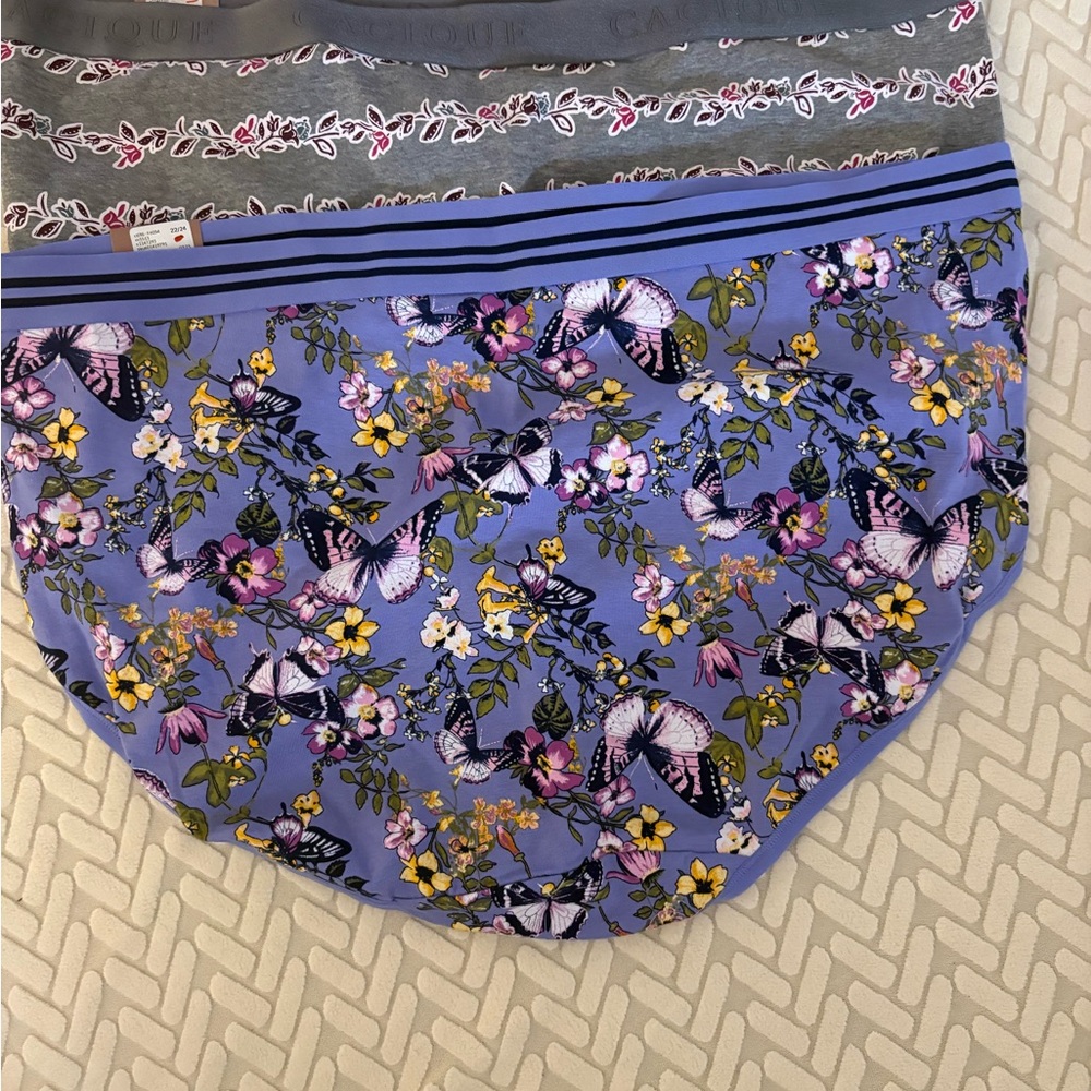 Cacique Purple and Gray High-Leg Briefs (2 pair bundle) NWT - Picture 4 of 4